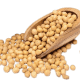 soy and cancer prevention